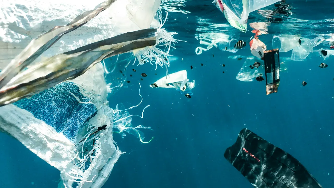 Microplastics in Food and the Kitchen: What Science Says and What to Replace