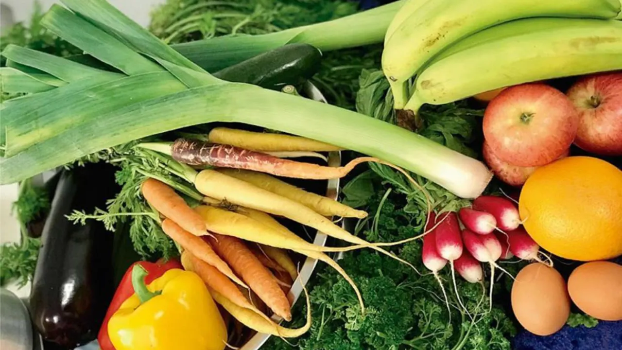 What Is the Planetary Health Diet? A Practical Beginner’s Guide