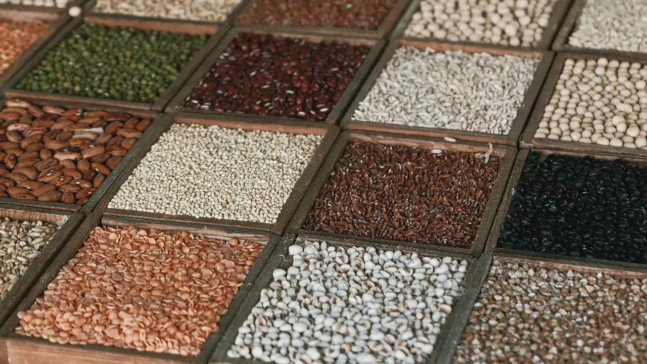 25 High-Protein Foods That Fit a Planetary Health Diet